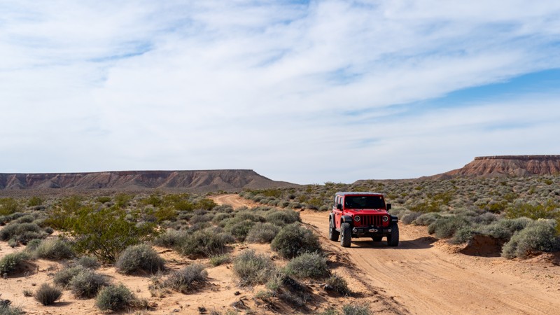 Nevada: Halfway Wash Escape Hero Photo