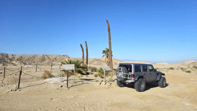 California: Four Palms Spring Hero Photo