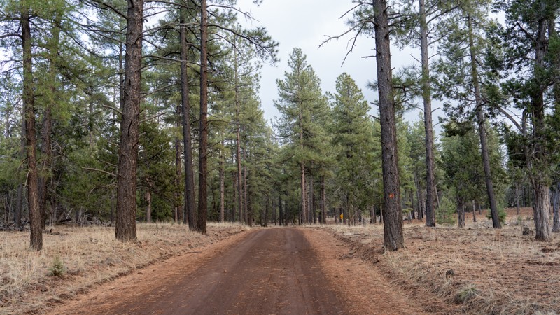 Arizona: Mount Trumbull Loop - Southern Section Hero Photo