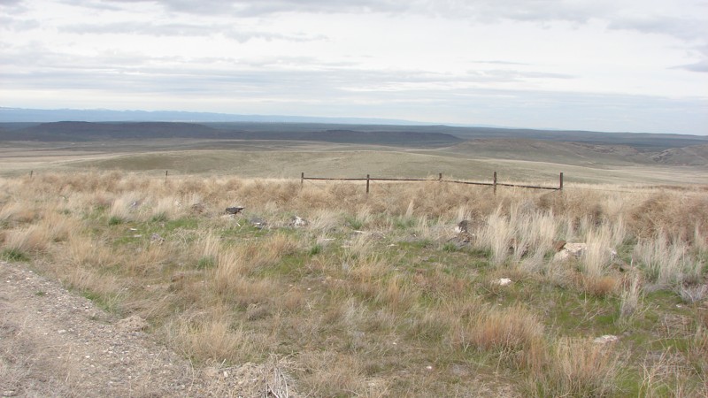Crow's Nest Road Trail Review Photo