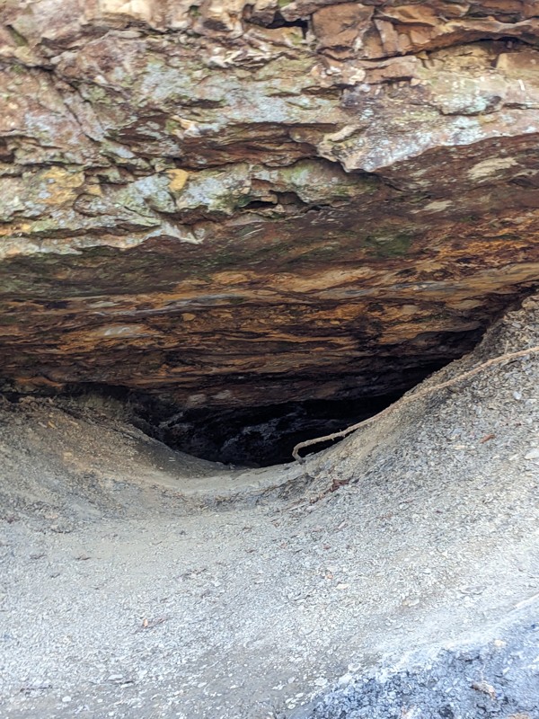 Windrock 83 Trail Review Photo