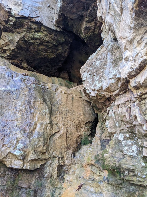 Windrock 83 Trail Review Photo