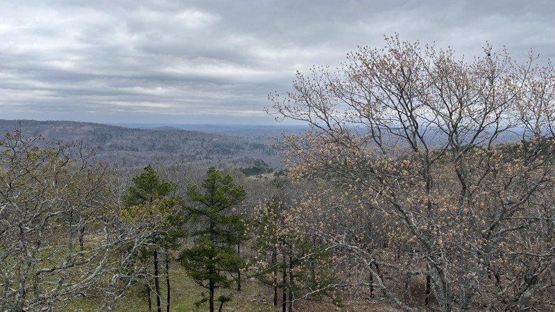 CR P-159 Trail Review Photo