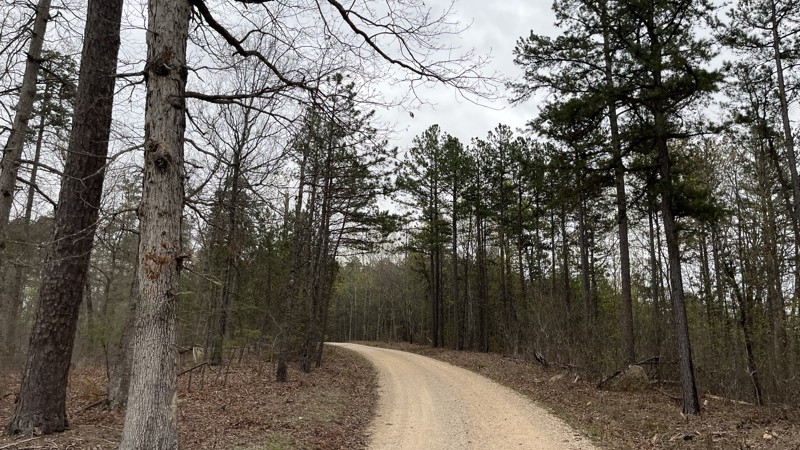 Lone Star School Trail Review Photo