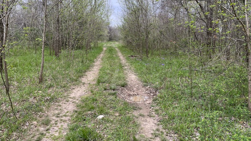 Lone Star School Trail Review Photo