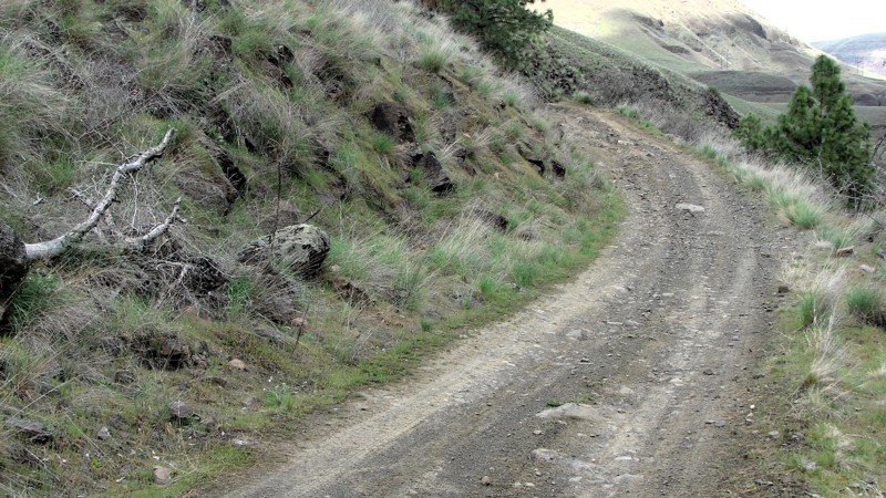 Eagle Creek Road Trail Review Photo