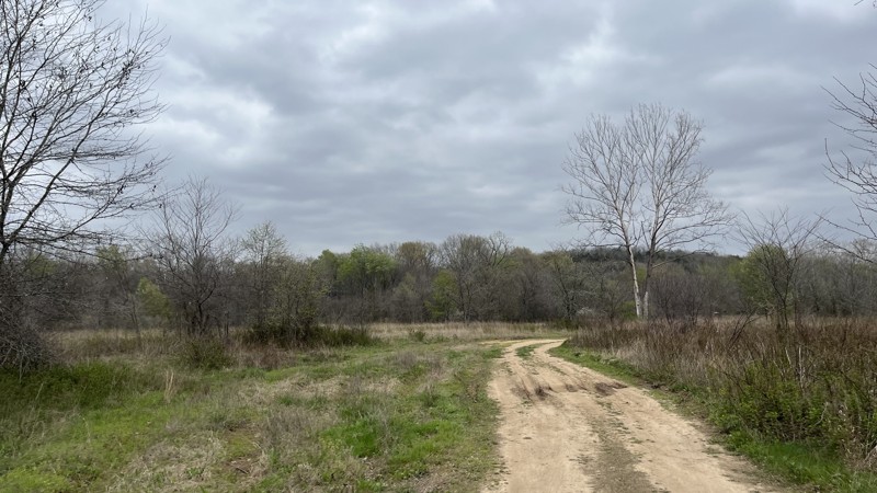 Lone Bee Trail Review Photo