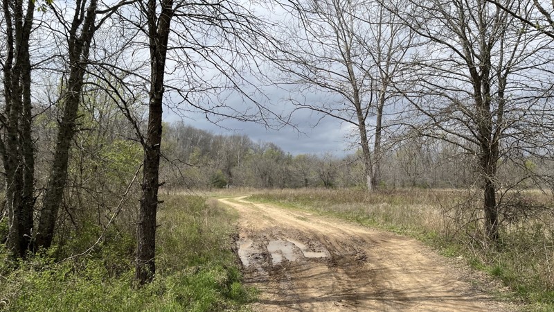 Lone Bee Trail Review Photo