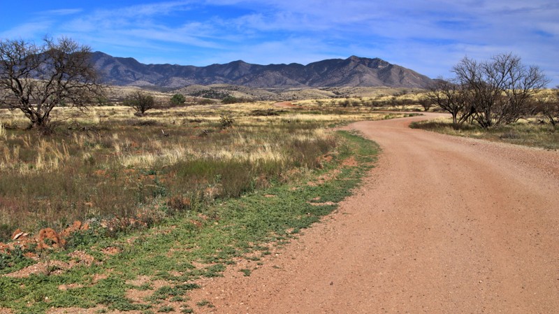 Arizona: East Yucca Farm Road Hero Photo