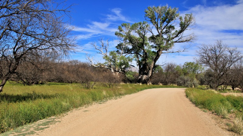 East Yucca Farm Road Trail Review Photo