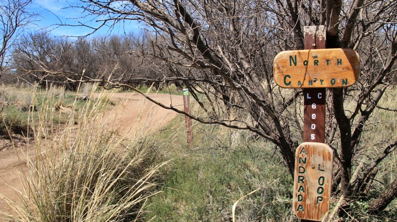 Andreda Loop Trail Review Photo