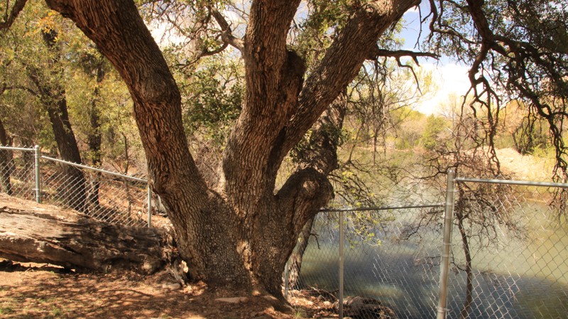 Turkey Creek Trail Review Photo