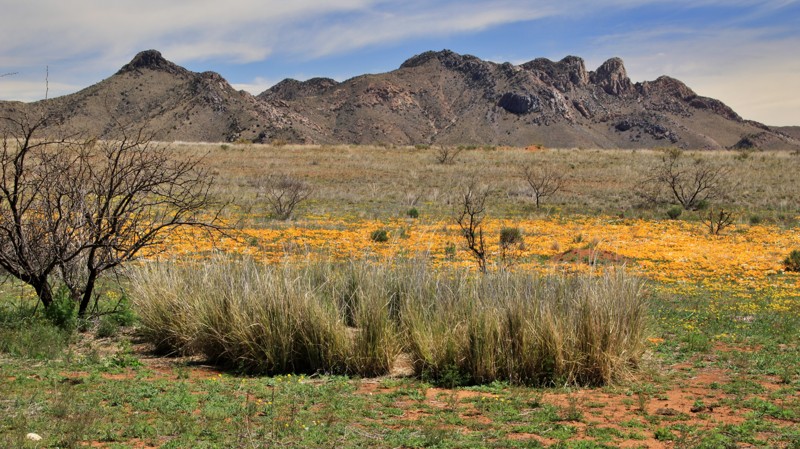 Arizona: Apache Pass Hero Photo