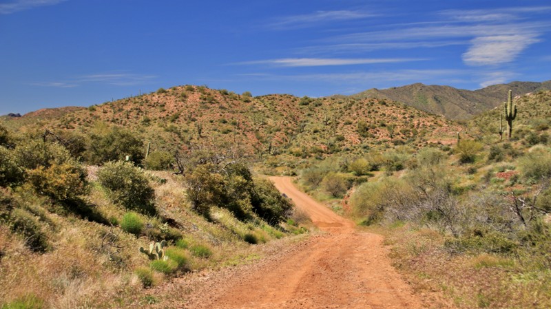 Arizona: Silver King Hero Photo