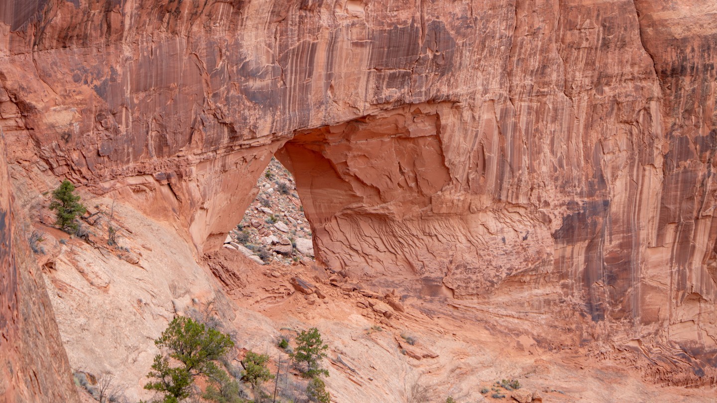Hero: Tibbett Arch Viewpoint