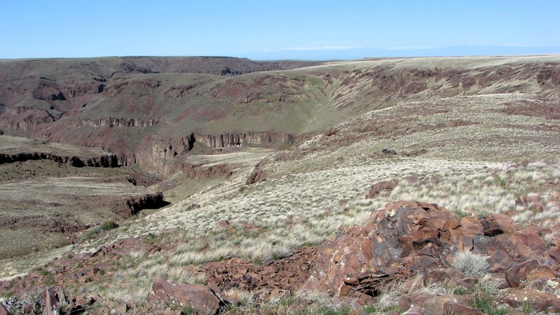 Idaho: Jack's Creek Road Hero Photo
