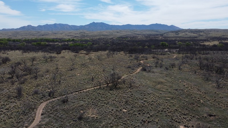 Forty Nine Wash Trail Trail Review Photo