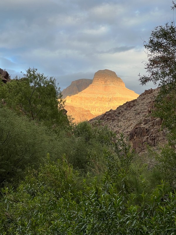 Diamond Creek Trail Review Photo