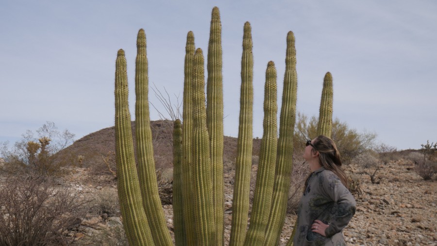 Pozo Nuevo Road Trail Review Photo