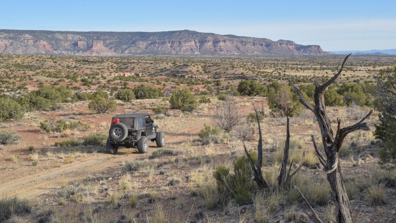 Utah: Horse Heaven Hero Photo