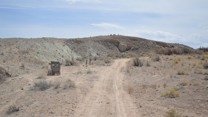 Utah: Yellow Seep Hero Photo