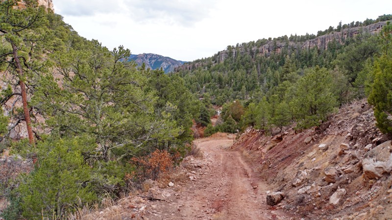Colorado: Trail Gulch Hero Photo
