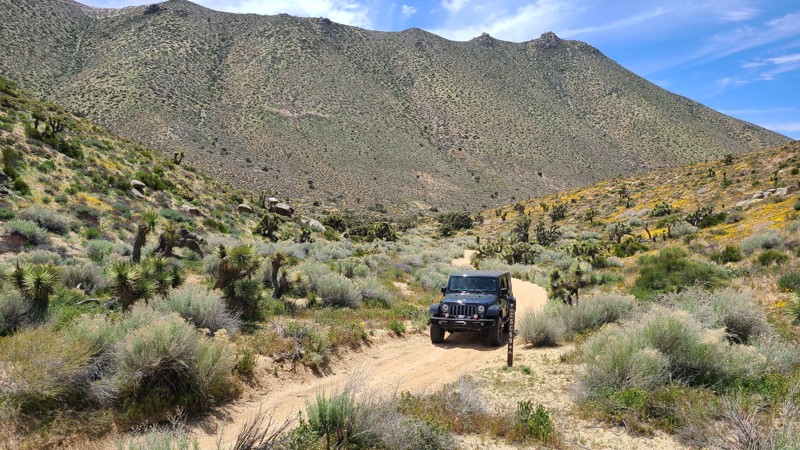 California: Scodie Mountains SC69 Hero Photo
