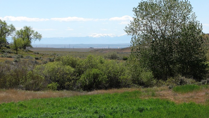 Idaho: Mayfield Road Hero Photo
