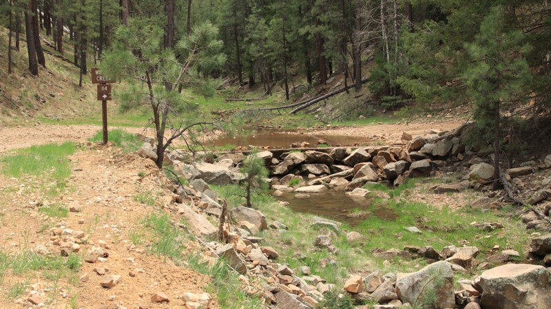 Arizona: Bear Willow Hero Photo