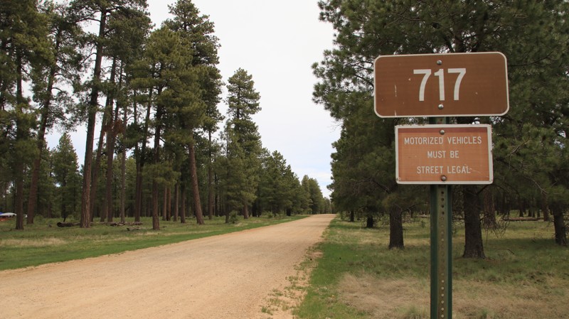 Arizona: Dye Ridge Road Hero Photo