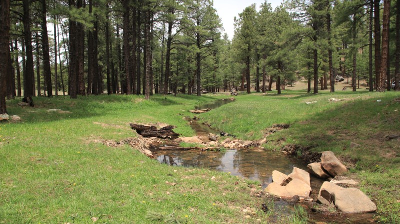 Arizona: Hart Canyon Hero Photo