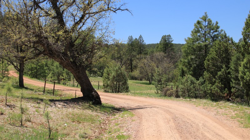 Arizona: Naegelin Canyon Hero Photo