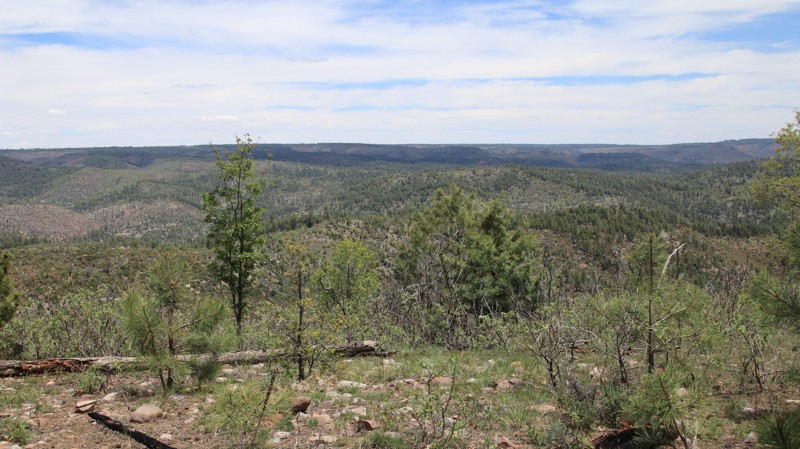 Arizona: Reservation Line Road Hero Photo