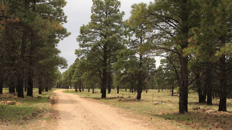 Arizona: West Chevelon Hero Photo