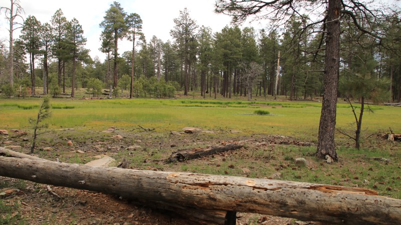 Arizona: Lonesome Lake Hero Photo