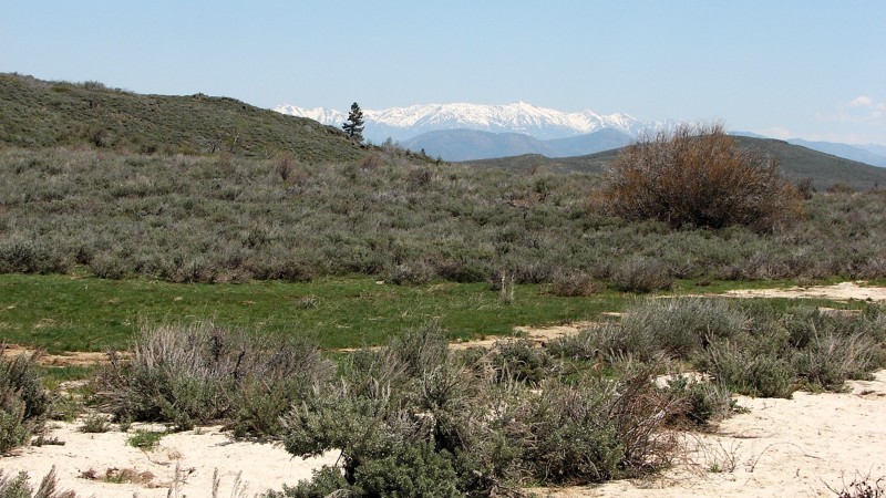 Idaho: Bennett Mountain Road Hero Photo