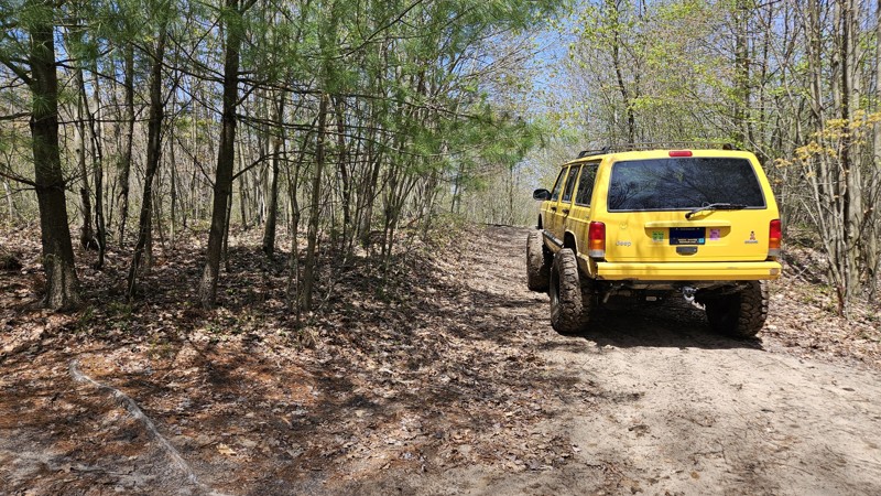 Michigan: Gladwin State Forest West Burns Road Hero Photo