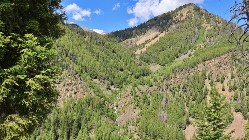 Trail Creek Road Trail Review Photo