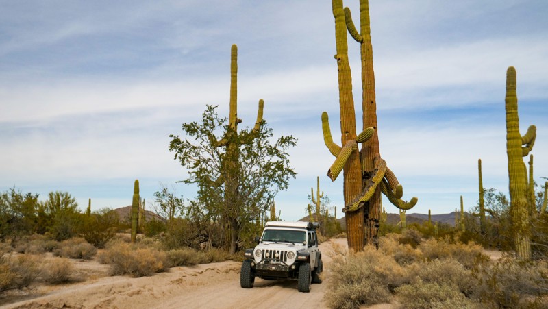Arizona: Puerto Blanco Road (South) Hero Photo