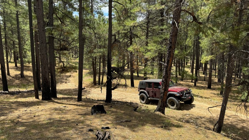 Arizona: Coconino FR6402 Hero Photo