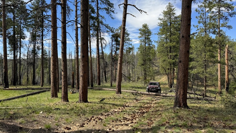 Arizona: South Pocket Lookout Hero Photo
