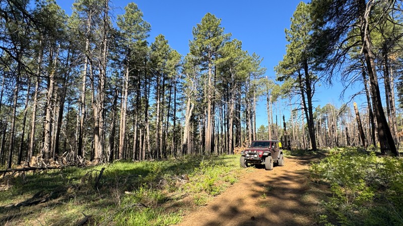 Arizona: Coconino FR6249 Hero Photo