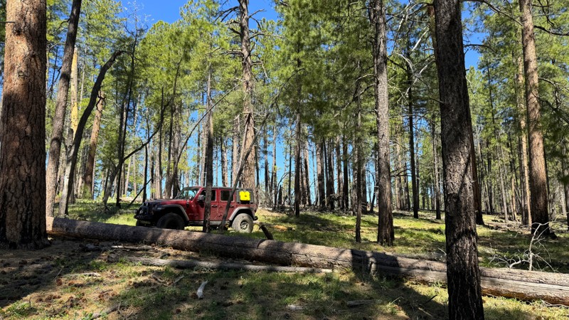 Arizona: Coconino FR231J Hero Photo