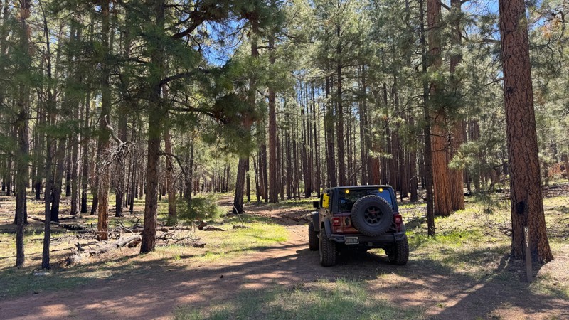 Arizona: Coconino FR6001 Hero Photo