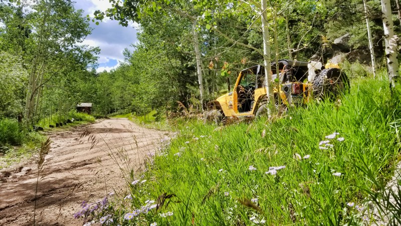 Colorado: Devils Head Campground Road - FS 300.P Hero Photo