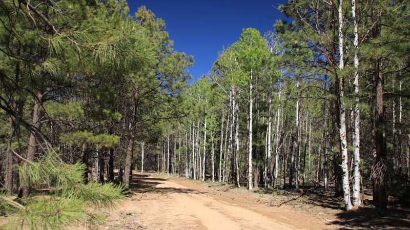 Arizona: Gentry Ridge Hero Photo