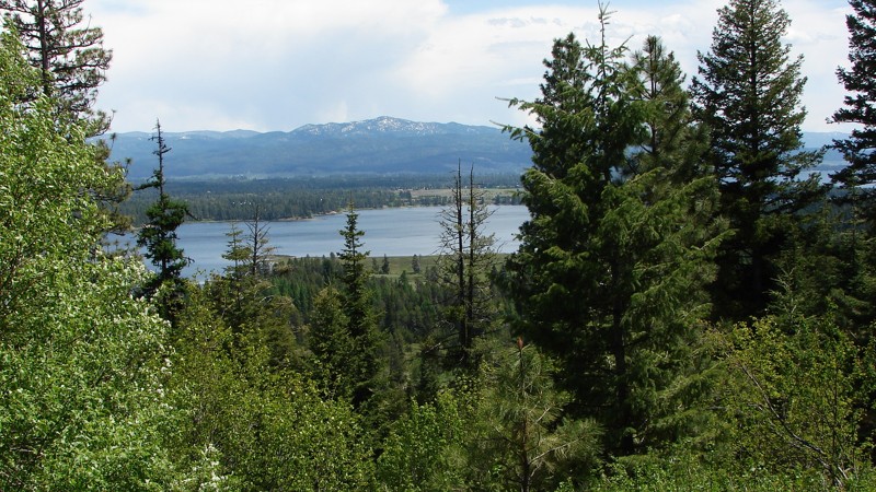 Idaho: National Forest Development Road 186 Hero Photo