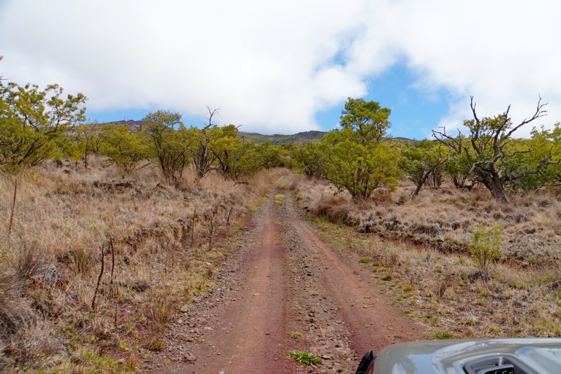 Skyline Road Loop Trail Review Photo