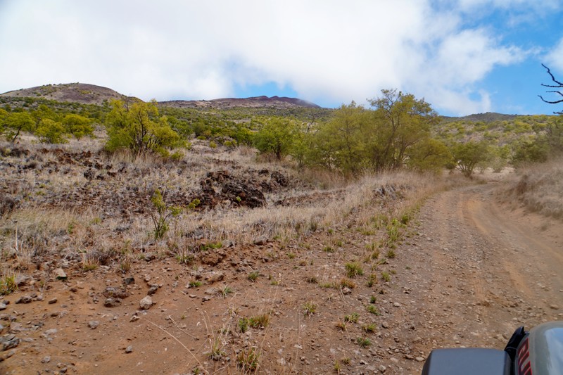 Skyline Road Loop Trail Review Photo