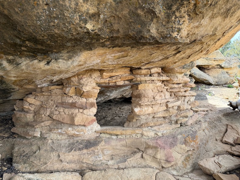 Collet Top Trail Review Photo